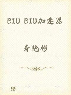 BIU BIU加速器